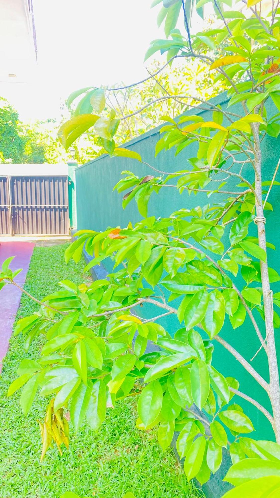Sanasuma Villa ベントータ エクステリア 写真